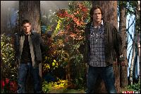 season5_supernatural.djeo.ru_015 (1450x966, 488 kБ...)