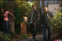 season5_supernatural.djeo.ru_018 (1450x966, 400 kБ...)